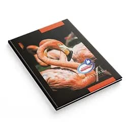 Щоденник шкільний Аркуш Класний тв.обкл./1В2641/80 сторінок Фламінго (2000989907756)(SC)