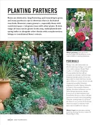 Grow Roses. Essential Know-how and Expert Advice for Gardening Success - мініатюра 7