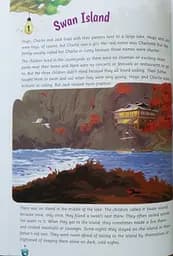 Storyfun for Flyers. Level 6. Student's Book with Online Activities and Home Fun B - мініатюра 4