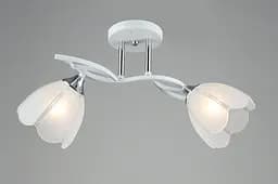 Люстра стельова на кухню Sirius B N6046/2 WT+CR на 2 плафони