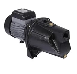 Насос самовсмоктувальний відцентровий Thermo Alliance D-JSWm-20M