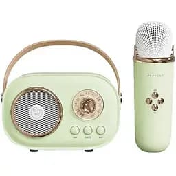 Портативная колонка C20GR