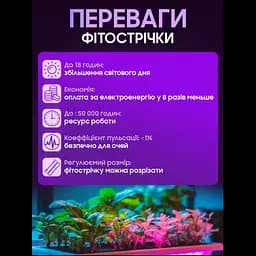 Світлодіодна фітолента для кімнатних рослин фітолампа 12V повний спектр 5 метрів від мережі SMD 2835 - мініатюра 6