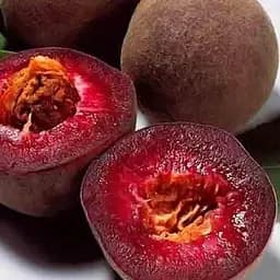 Саженец Agro-Market Персик красномясый Эритрокарпа (Erythrocarp) (премиальный осенний сорт) (38115) 1 шт. в упаковке