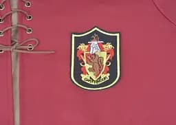 Форма для квідичу Ґрифіндор з емблемою Гаррі Поттер Harry Potter Gryffindor HP 6.110.784 - мініатюра 4