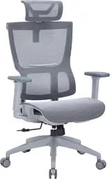 Офісне крісло OfficePro Elegant OC660-G-DG-DG (OC660-G-DG-DG)