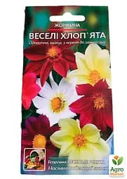 Жоржина "Веселі хлопці" Весна 0.2г (21913) - мініатюра 2