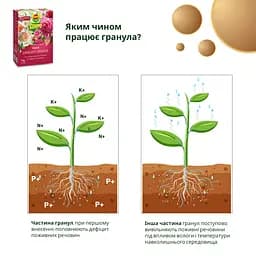 Тверде добриво тривалої дії для троянд COMPO 2 кг - мініатюра 9