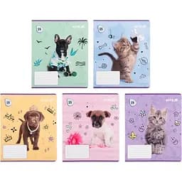 Набор тетрадей Kite Rachael Hale 18 листов в клетку 20 шт. (R25-236)