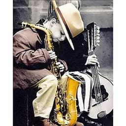 Алмазна мозаїка Музикант з дитинства HEG86036 30х40 см