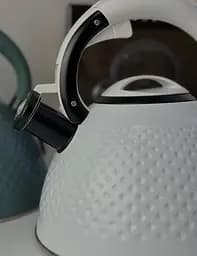 Чайник із свистком Edenberg EB-8854-White 3 л білий