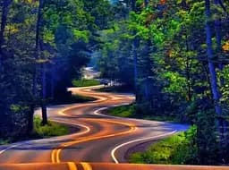 Алмазна мозаїка на підрамнику Дорога в лісі 40×50 см 71719_BGLE