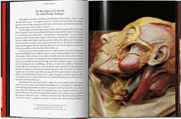 Anatomical Waxes. 45th Edition - мініатюра 4
