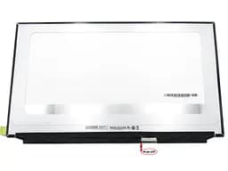 Матриця B173ZAN03.0 17.3" Slim eDP 390mm 3840х2160, IPS, 40pin праворуч, без кріплень, матова