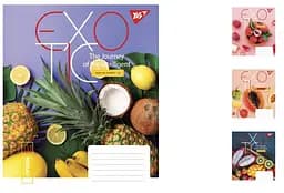 Зошити учнівські 60 аркушів клітинка. YES Exotic, зошит дя записів 10 шт. в упаковці