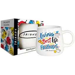 Чашка порцелянова Warner Bros Бутон Friends Living my best life 370 мл (76001661)