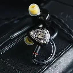 Дротові IEM навушники Tangzu Waner SG 2 with MIC Type-C (Чорний) - мініатюра 3