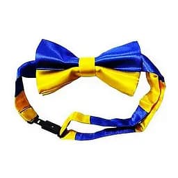 Краватка-метелик Патріотична