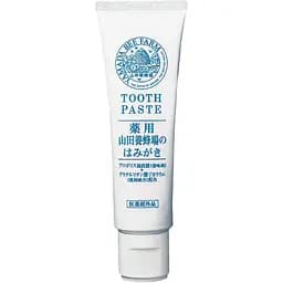Антибактеріальна зубна паста Yamada Bee Farm Medicated Toothpaste з екстрактом прополісу 100 г