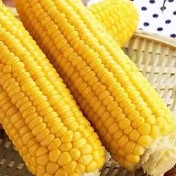 Кукуруза Весна Детский деликатес (в банке) 100г (52434)