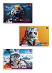 Набор альбомов для рисования 3шт. Альбом Школярик 20 л. А4 8536 4823088200249