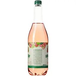 Сидр Somersby Персик-Гуава 4.7% ПЕТ 0.95 л - мініатюра 3