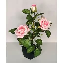 Троянда штучна Hvoya кущ в горщику 29 см рожева