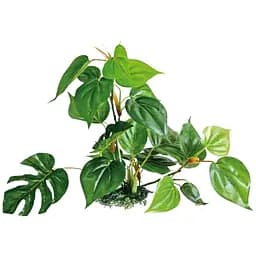 Растение искусственное Amtra Replica Anubias 30 см