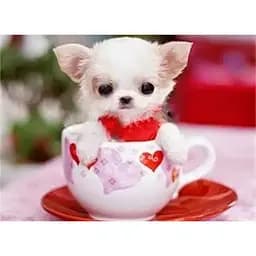 Алмазна мозаїка Чарівний діамант Песик з любов'ю зі стразами на підрамнику 20х30 см (1851920278)