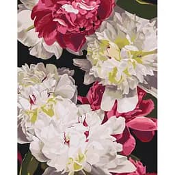 Картина за номерами на підрамнику Brushme У тіні світла Анастасія Альохіна