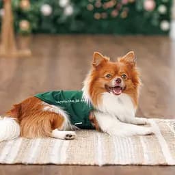 Боротьба Kale Pet Fashion для собак XXS зелена - мініатюра 4