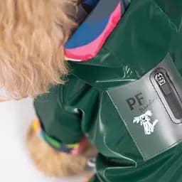 Вітровка Pet Fashion Air XS2 зелена - мініатюра 5