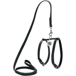 Шлей с поводком для собак Waudog Glamour кожаный с QR паспортом, черный