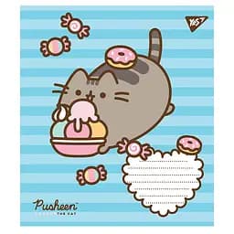 Набір зошитів Yes Pusheen А5 в лінійку 12 аркушів 25 шт. (766547)