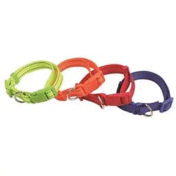 Нашийник для собак TatraPet Benny світловідбиваючий в асортименті 1.5 х 25-40 см 