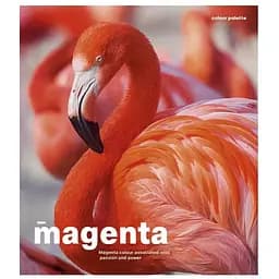 Тетрадь общая Animal palette Школярик 060-3245K-4 в клетку 60  листов