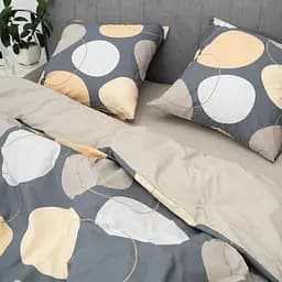 Комплект постільної білизни Viluta півтораспальний ранфорс 25388-pl5070