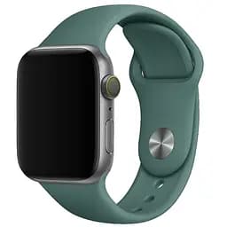 Силиконовый ремешок для Apple Watch 38/40/41/42mm(ser.10) Зеленый / Pine green
