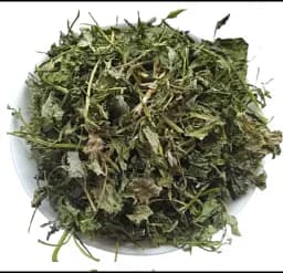 Лобода остиста Трава Chenopodium aristatum