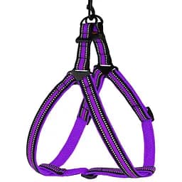 Шлея для собак Bronzedog Mesh Стандарт, размер L, 58-71х2,5 см, фиолетовая