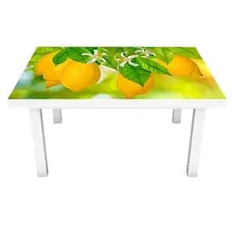 Вінілова наклейка на стіл Лимони ПВХ плівка для меблів цитруси фрукти Жовтий 60х120 см Happy Pocket Z180755 - мініатюра 2