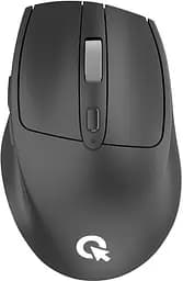 Беспроводная мышь OfficePro M315B Black (M315B)