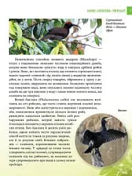 Енциклопедія для допитливих А5 : Хижаки (Українська, 01 КРЕЙДОВАНИЙ ) - мініатюра 5