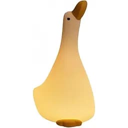 Нічник DK Looking up at the duck A013 [136103]