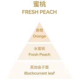 Аромадифузор Plantes&Parfums Peche de Vigne Fresh Peach 100 мл (8000020684200) - мініатюра 3