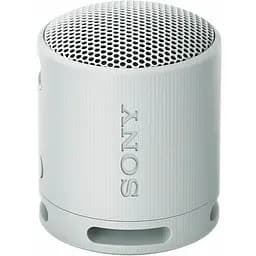 Портативна акустика Sony SRS-XB100 Grey (SRSXB100H.CE7) - мініатюра 2