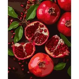 Картина по номерам Santi с алмазной мозаикой Сочные гранаты 40х50 см