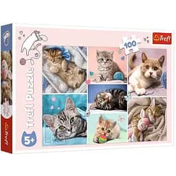 Пазл Trefl У світі котів колаж 100 ел. (16420)