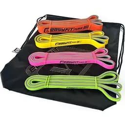 Набір двошарових гумок для підтягування EasyFit Premium 2-45 кг (4 шт.) (EF-2454s)