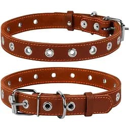 Нашийник для собак Collar безрозмірний (4820152563989)